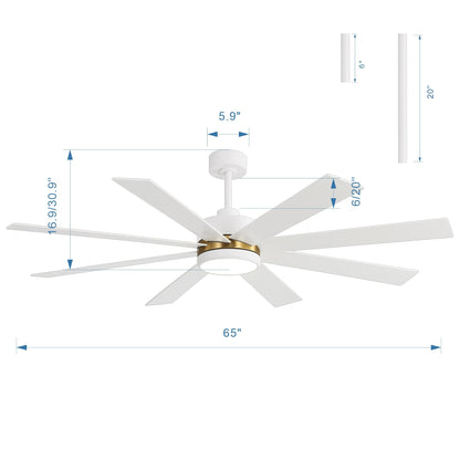 Ventilateur de plafond LED noir à 8 pales de 65 pouces avec éclairage et télécommande