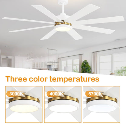 Ventilateur de plafond LED noir à 8 pales de 65 pouces avec éclairage et télécommande