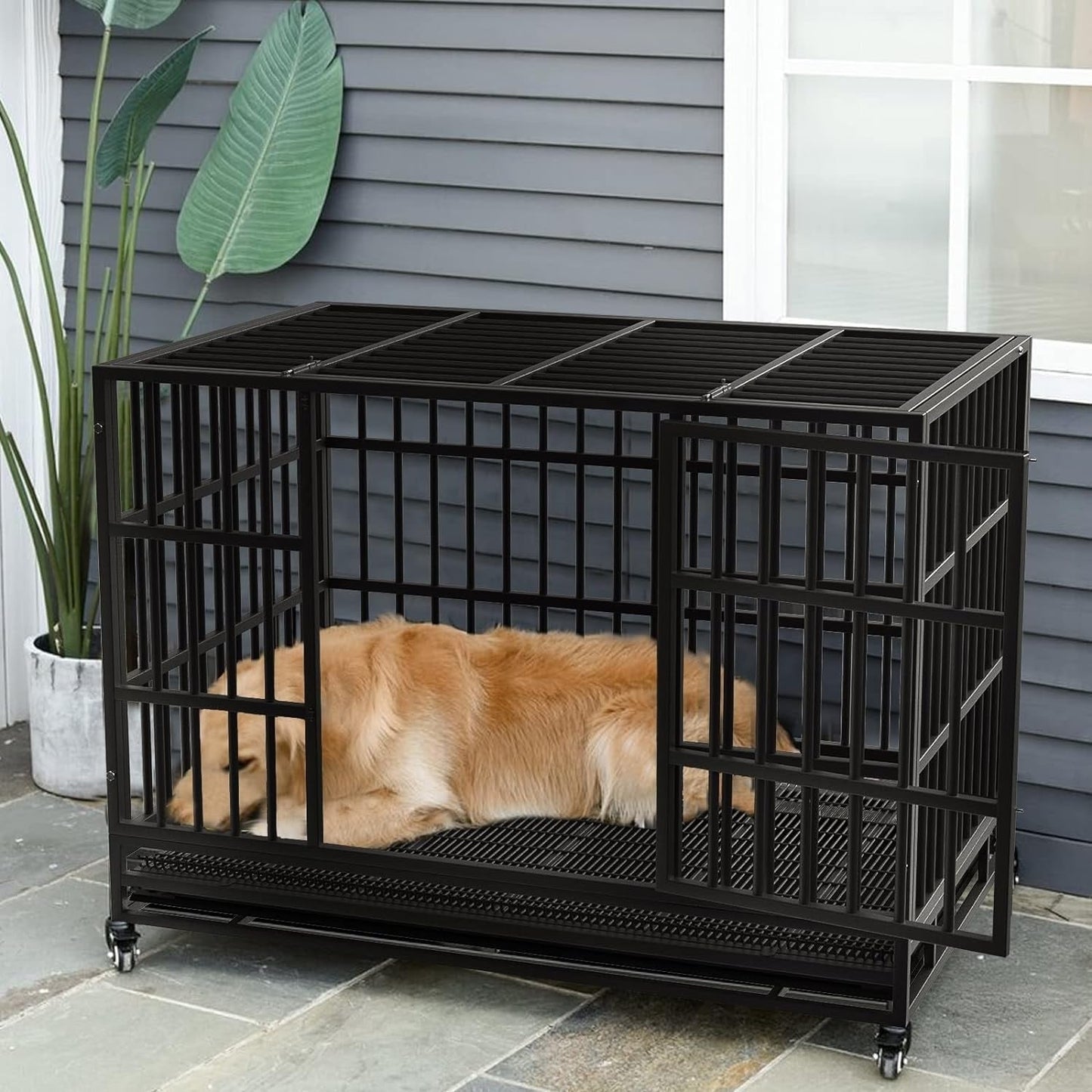 Cage pour chien Bossin 48/38 pouces, robuste et indestructible, cage anti-évasion avec roues verrouillables