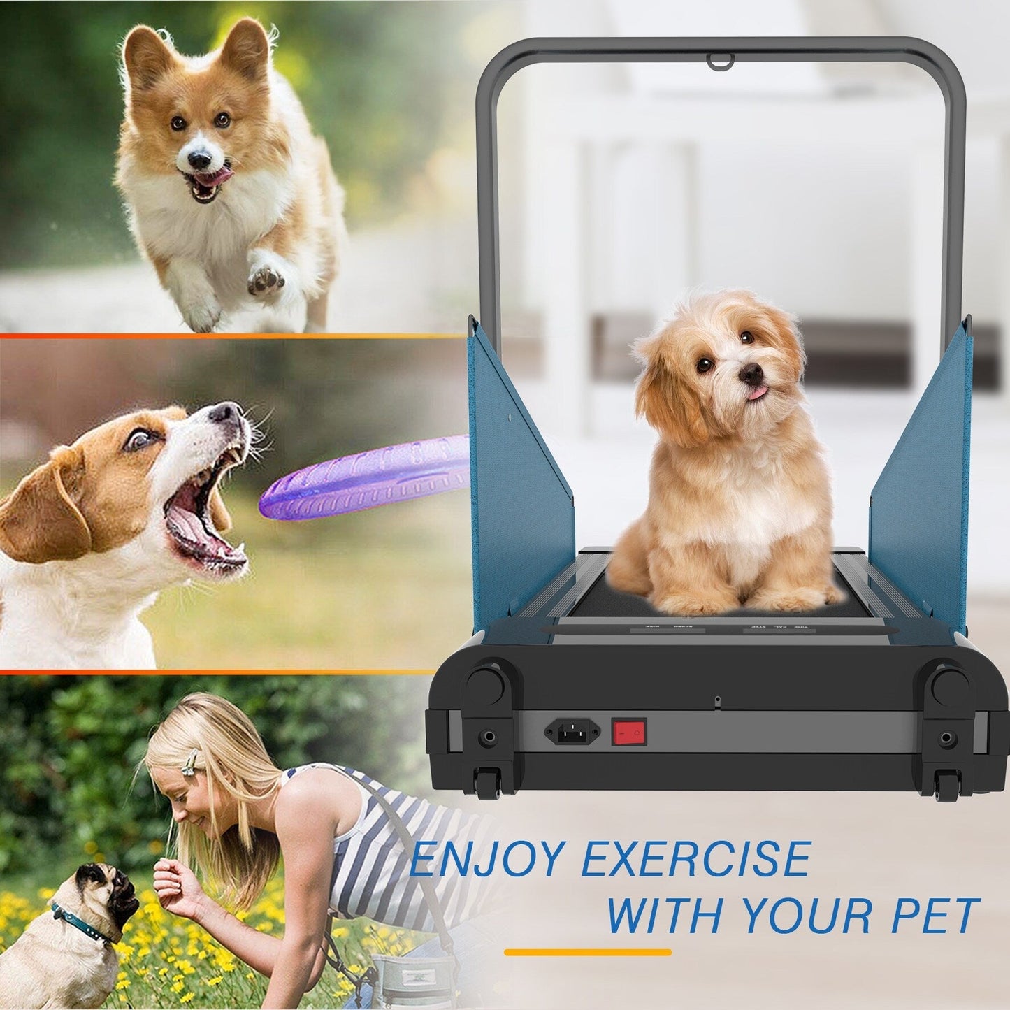 Tapis roulant pour chien avec affichage LED
